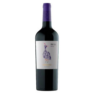 Vinho Tinto Chac Chac Malbec 750ml