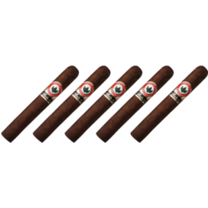 Caixa De Charuto Joya De Nicaragua Antano Robusto 5 Unidades