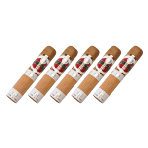 Kit Charuto Flor de Copan Short Robusto 5 Unidade
