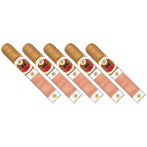 Kit Charuto Flor de Copan  Rothschild 5 Unidade