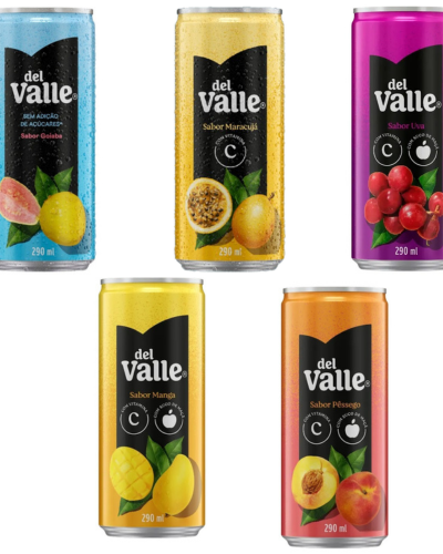 15381376580-suco-nectar-del-valle-lata-269ml.png