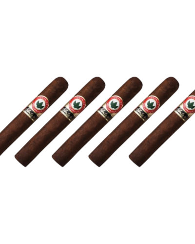 15422410649-charuto-joya-de-nicaragua-antano-robusto.png