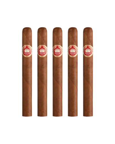 15593218854-kit-charuto-h-upmann-majestic-5-unidade.png